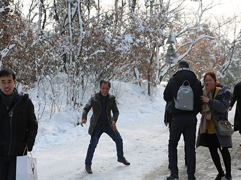 惠洋人打雪仗 惠洋人打雪仗