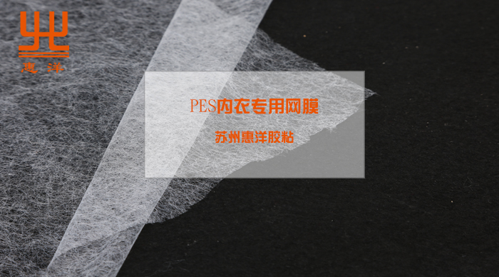 PES內衣專用網膜.jpg PES內衣專用網膜.jpg