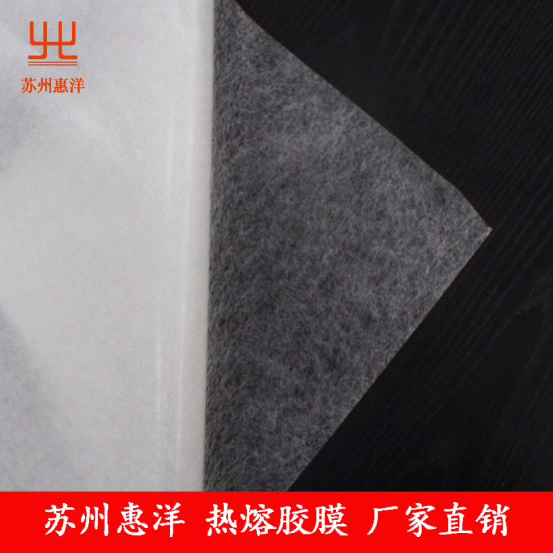 帶離型紙熱熔膠網膜