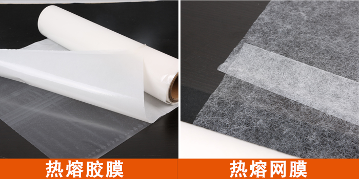 膠膜與網(wǎng)膜.jpg 膠膜與網(wǎng)膜.jpg