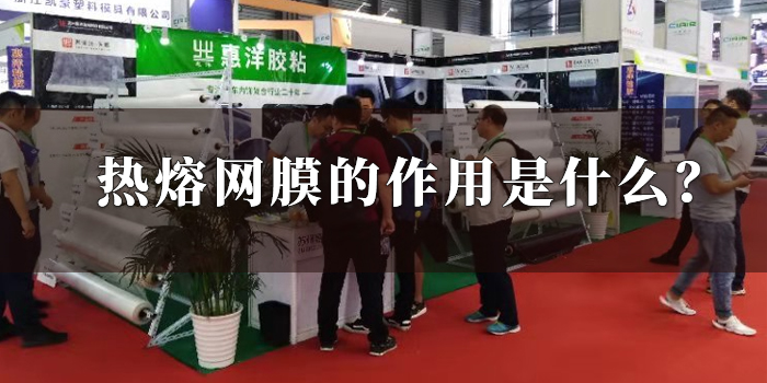 熱熔網(wǎng)膜的作用.jpg 熱熔網(wǎng)膜的作用.jpg