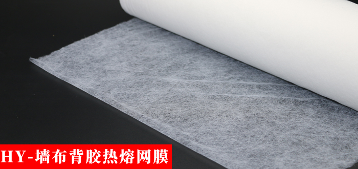 墻布網(wǎng)膜.jpg 墻布網(wǎng)膜.jpg