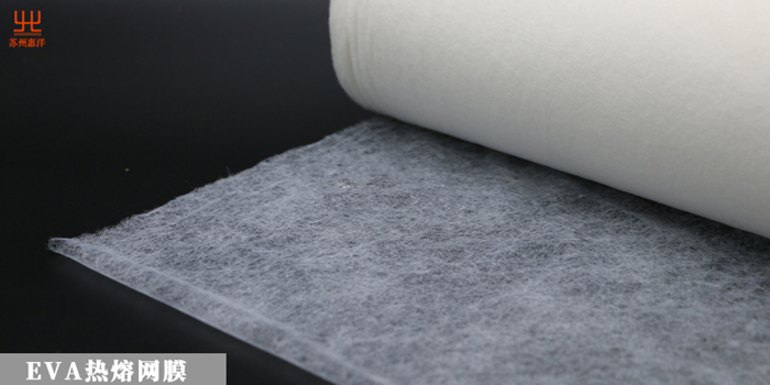 eva網膜.jpg eva網膜.jpg