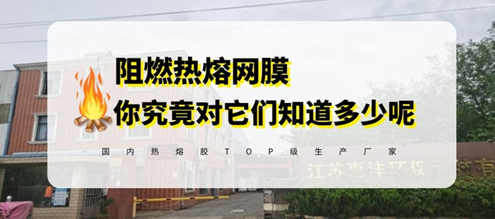 阻燃熱熔膠網(wǎng)膜封面圖_700.jpg 阻燃熱熔膠網(wǎng)膜封面圖_700.jpg